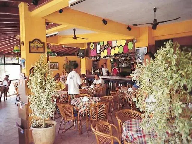 Maison 48 4* Gümbet